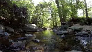 Sligo Creek 360