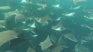 Experience The Hook in La Paz &mdash; Unique La Paz Experiences