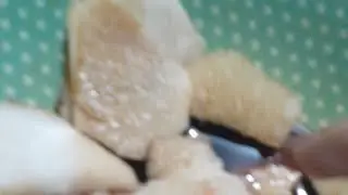 Singkamas Kayo Jan