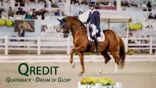 Qredit (Quaterback - Dream of Glory), Champion of 70-day Test, USDF Horse of the Year