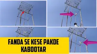 FANDA से KABOOTAR केसे पकड़े !! TRY catching pigeon with fanda