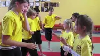 Inner Ninja- Shamuon Generation edition
