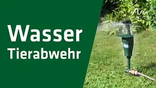 Wasser-Tierabwehr │ Wasserstrahl-Tiervertreiber  |  Katzen, Hunde & Waschb&auml;ren vertreiben