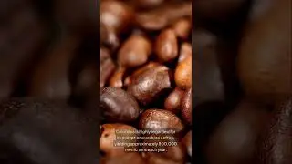 Leading coffee producing nations in the world. #coffee #health #production