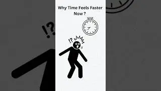 Why Time Feels Faster Now #psychologyfacts #Time perception #brainscience