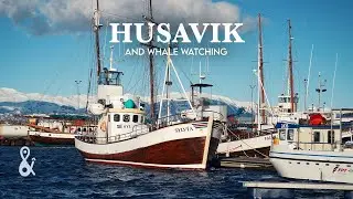 Whale watching in Husavik