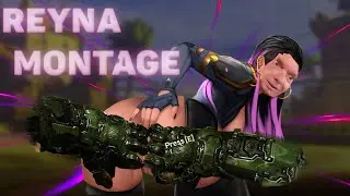 VALORANT REYNA FUNNY MOMENTS || Valorant.exe || reyna.exe