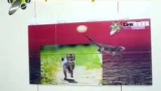 Following effect and flip effect example by LenBB