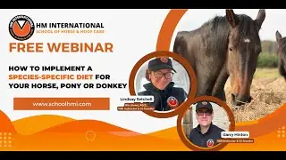 How to implement a SPECIES-SPECIFIC DIET for your horse, pony or donkey