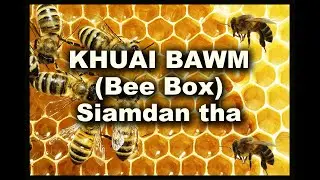 Khuai Bawm (Bee Box) siam dan tha