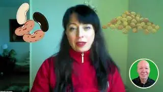 Proteiner i v&auml;xtbaserad kost &ndash; Hur f&aring;r man i sig tillr&auml;ckligt? 🌱💪