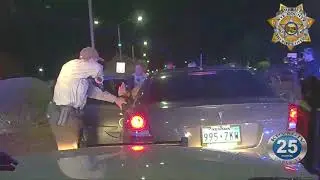 11/26/2019 Nye County Sheriff's Office Police Pursuit