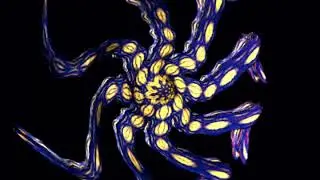 octopi1 1 00001