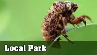 Macro Photo Ideas - Local State Park Adventure - EP1