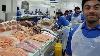 Dubai Biggest Fresh Market  Part 1| Waterfront | Fish | Meat | Fruit  &  Vegetable