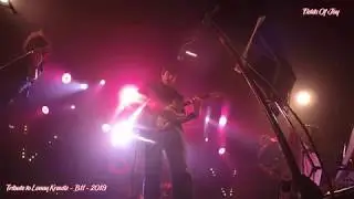 Fields Of Joy - Tribute to Lenny Kravitz - B11 2019