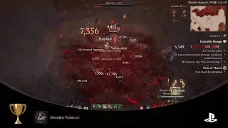 Diablo IV Devoted Protector
