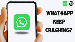 How To Fix WhatsApp Keep Crashing on iPhone iOS 16 | WhatsApp Crashing Issue