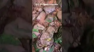 Watch Full Video... Link in description  Thommankutthu Waterfalls Transition 🤍 #shorts #transition