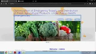 Optimization of Emergency Supply and Distribution of Fresh Agricultural Products Under Public Health