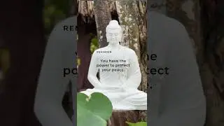 Meditation classes