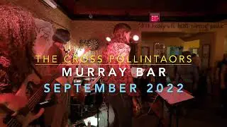 The Murray, Cross Pollinators, Is This Love