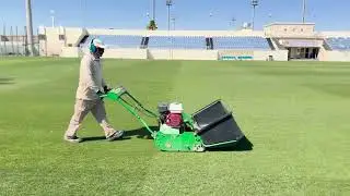 Qatar Sports Club