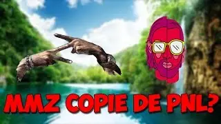 MMZ COPIE DE PNL ?