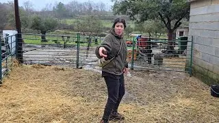Nos est&aacute; cayendo la invernada que dec&iacute;an los antiguos, no hay tregua