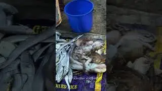 Vaddy fishing harbour KGF Chapter 2 Whatsappstatus#kgf #kgfchapter2 #kgftamil#kgfmovie #kgfstatus
