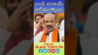 బండి సంజయ్ కామెడీ ఆణిముత్యాలు | Bandi Sanjay | Black Voice