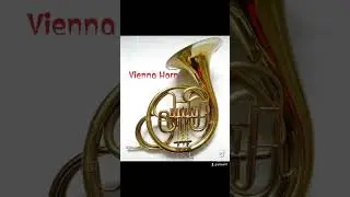 Types of French Horn. #instrument #music #everyone