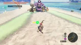 Silver Bokoblin Boss speed kill - Zelda TotK - Taupe