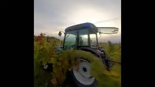 Reel Freedom Run Niagara Estate Winery