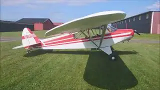 My L-18C airborne again!
