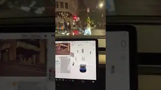 Tesla Pedestrian Detection: How Well Does It Work?