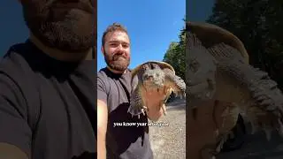 Боузеру исполнилось ДВА ГОДА!