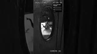Lynch Victim - То, Что Осталось #postpunk #vhs #sedative #романсидоров #постпанк #doomer  #dergolem​