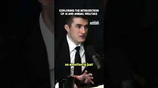 Exploring the intersection of AI and animal welfare.mp4