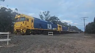 7731V PN down empty grainy (BL26, BL31, 40H), Geelong to Murtoa, 1705, 7/8/25, Deep Lead VIC 
