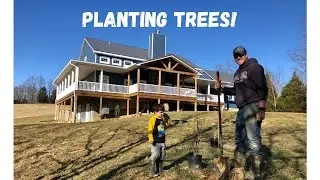 Building our Farmhouse: #60- PLANTING TREES! (How to transplant trees according to our TREE EXPERT!)