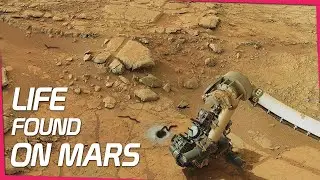 Life found on Mars Subsurface says Scientist
