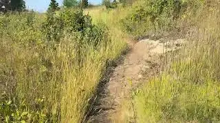 Greenstone Ridge