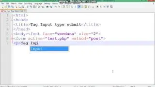 HTML Tag Input Type Submit