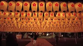 姫路を歩く#1097　Himeji walk　20260101
