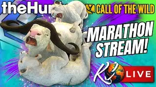 🔴*MARATHON MONDAY!* Wild Boar GO Grind, Trophy Lodge Tours & MORE! - Call of the Wild