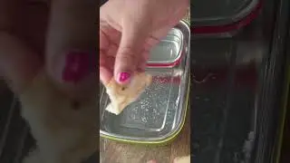 tiffinbox for my daughter #youtube #shortsvideo #viral #shorts#food