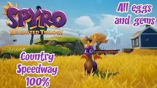 Spyro Reignited Trilogy: Year Of The Dragon [Country Speedway 100%]