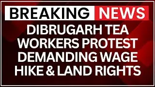 Assam Protest: Thousands Join Assam Tea Workers Strike Over Pay and Land Demands | NewsX