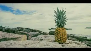 BITCOIN MILLIONAIRE CREATES PINEAPPLE FUND TO GIVE $86 MILLION TO CHARITY
